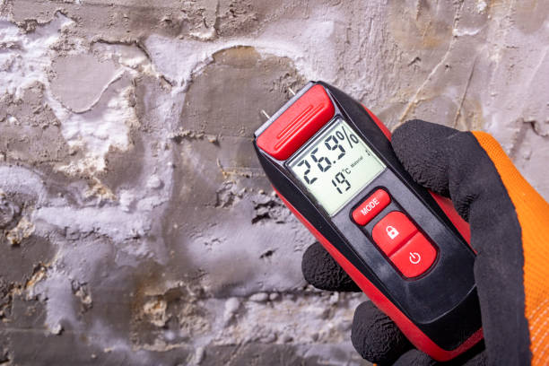 Best Residential Mold Remediation in Crescent City, CA